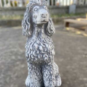 Statua cane barboncino, scultura animale in cemento e pietra per giardino