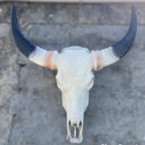 Statua teschio di toro bue mucca con corna, scultura animale in resina